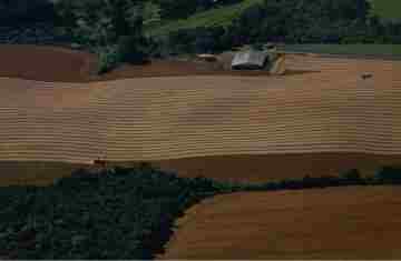 Safra de verão da soja caminha para o fim com 82% já colhida no Paraná